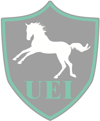 UEI-Logo_P